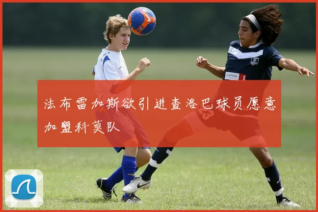 法布雷加斯欲引进查洛巴球员愿意加盟科莫队